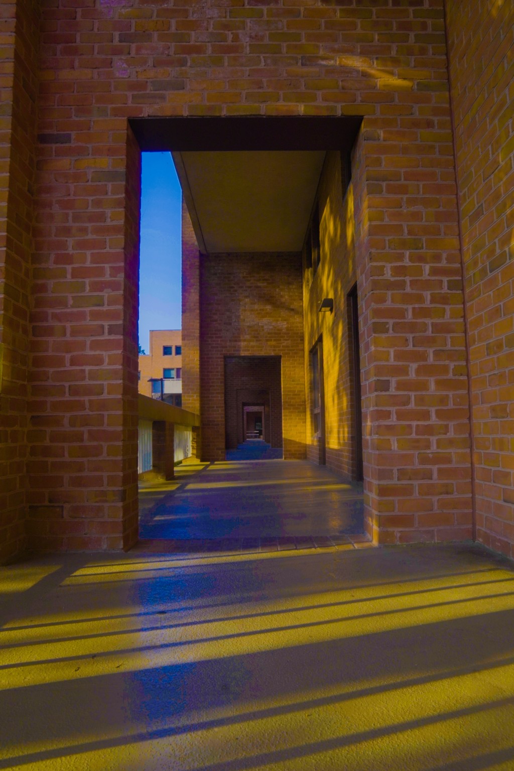 My Dalai Lama Fellowship Experience: Connecting with Self, Earth, and History + breathtaking&nbsp;photography